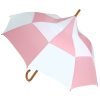 umberella / Pointed Umbrella