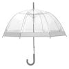 Clear Dome Umbrella Silver Trim upright