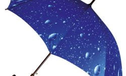 Wood Crook Handle Rain Art Umbrella - Rain Storm