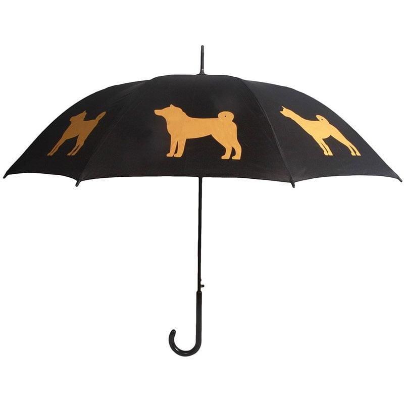 dog and umbrella
