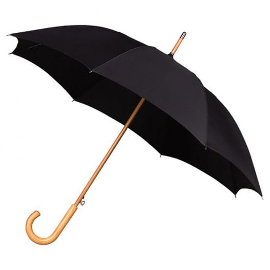 stylish umbrella for men