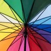 Rainbow walking umbrellas ribs and frame