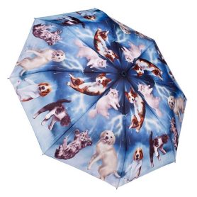 Raining cats and dogs umbrella top view