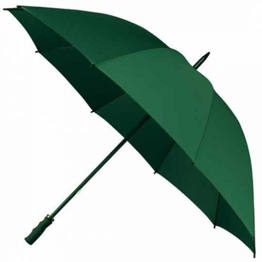 Green Umbrella Wood Stick Auto Open With Wooden Crook Handle
