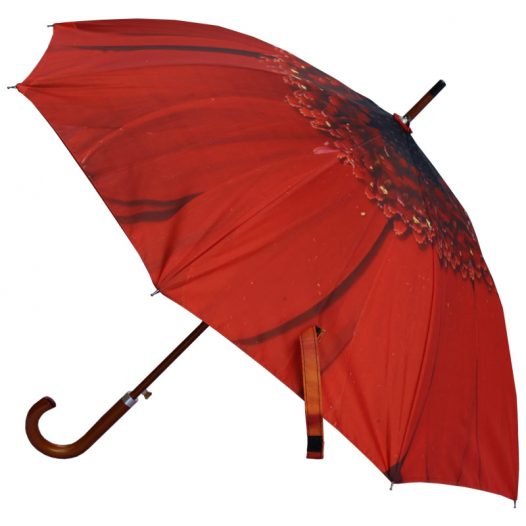 Red flower umbrella