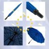 Infographic of EU Golf Umbrella