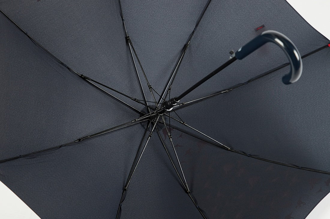 DINOSAUR Kids Automatic Umbrella – inside
