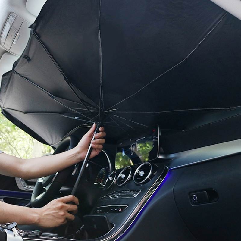 Umbrella for car windscreen