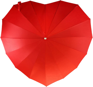 Red Heart Umbrella canopy viewed from above