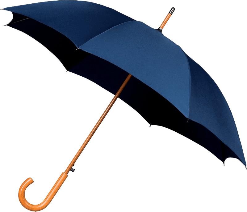 best mens travel umbrella
