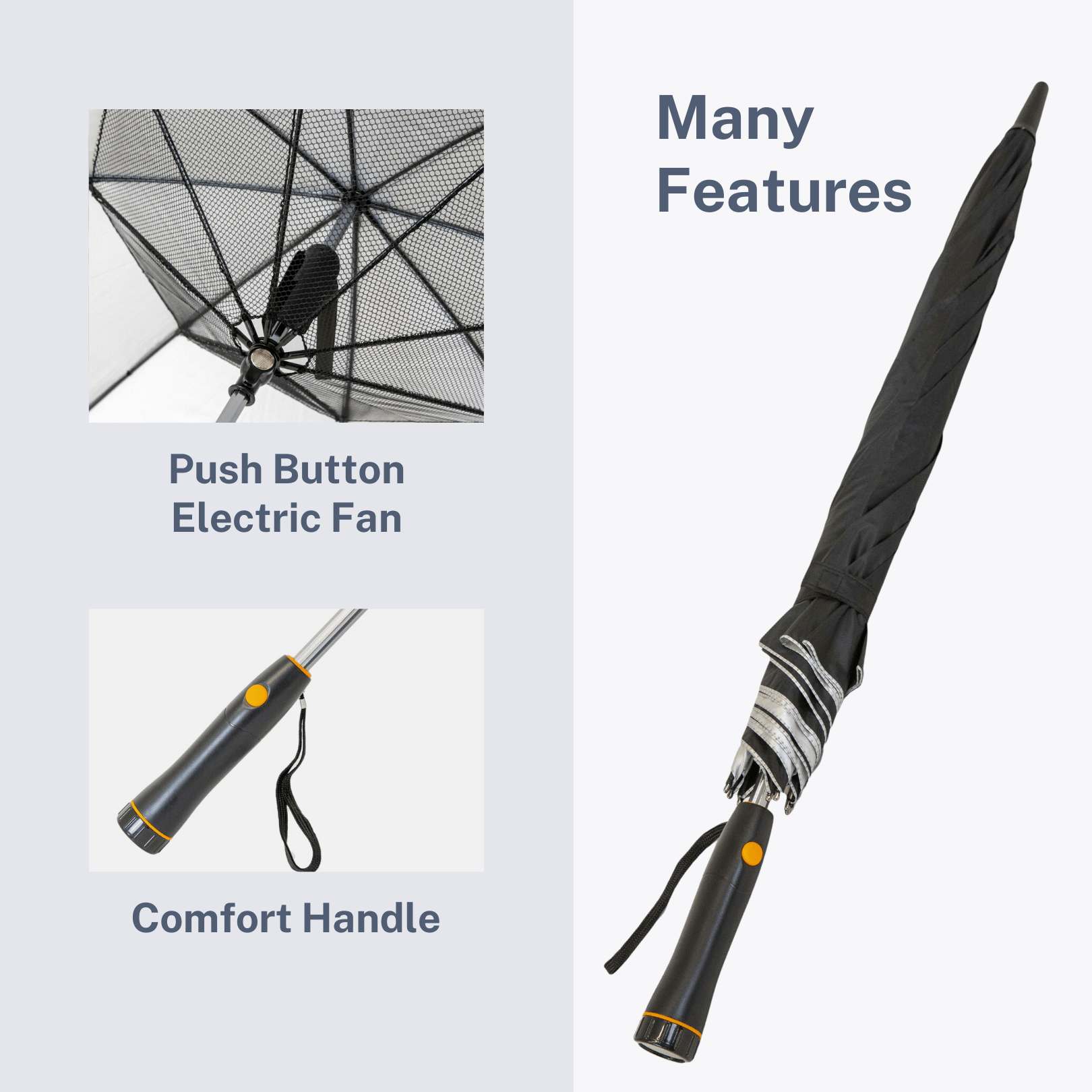 Fan Umbrella Infographic 1