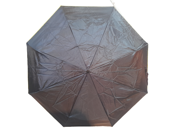 Budget Black Compact Umbrella