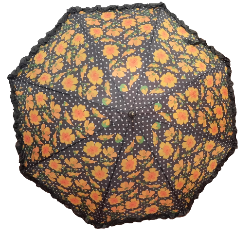 Ladies Floral Polka Dot Umbrella