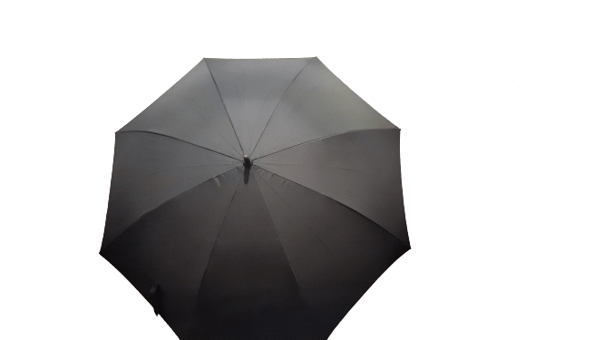 VOGUE fashion umbrella black canopy