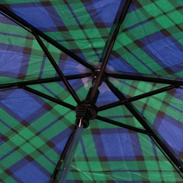 Green Tartan Umbrella Frame