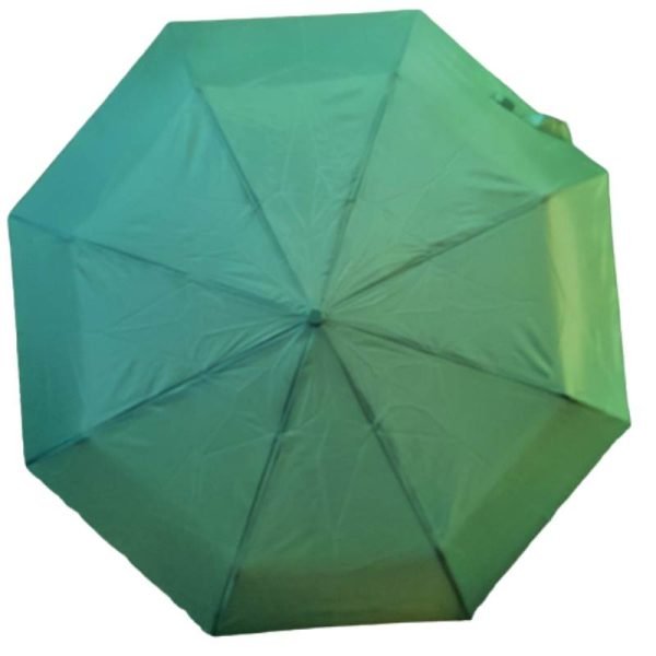 Blue/Green Budget Priced Compact Umbrella Canopy
