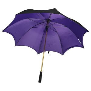 Vlad Gothic-Style Umbrella from front showing underside