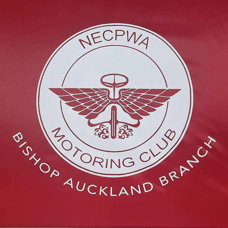 Custom-NECPWA-Logo