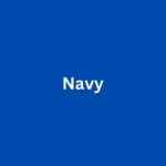 Navy Button