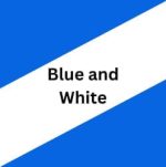 Blue And White Button